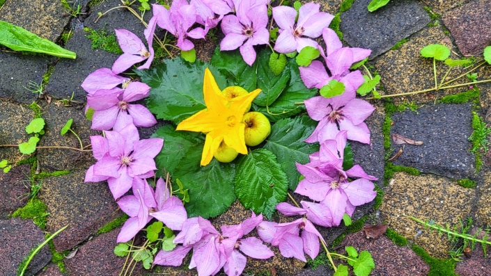 Mandala Natur Geschenk